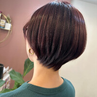 画像550