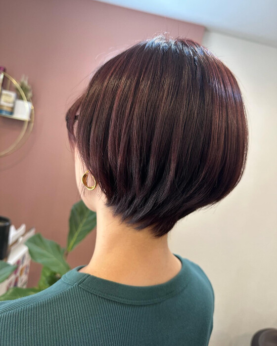 画像550