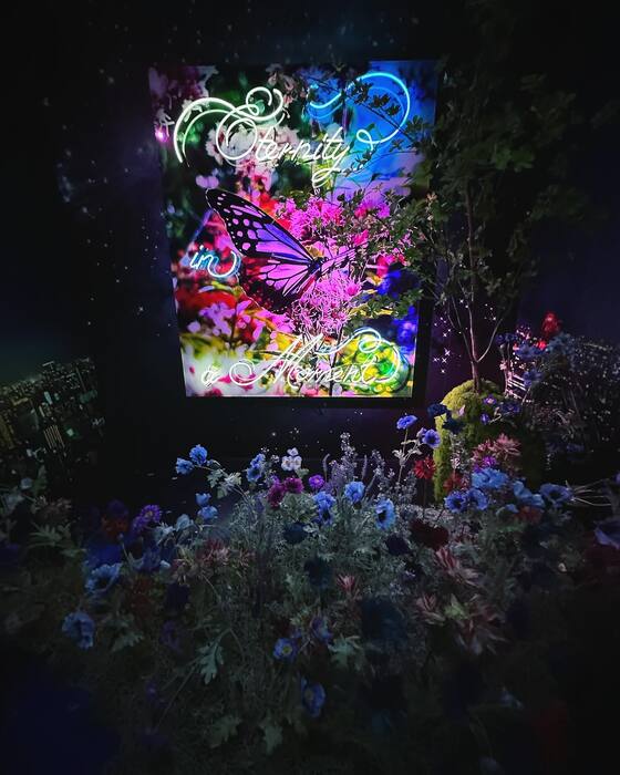 画像570