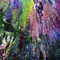 画像572