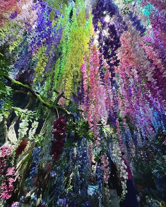 画像572